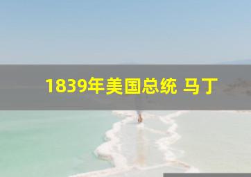 1839年美国总统 马丁